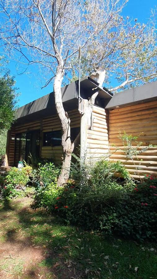 Chalet Los Troncos Sauce de Portezuelo Exteriör bild