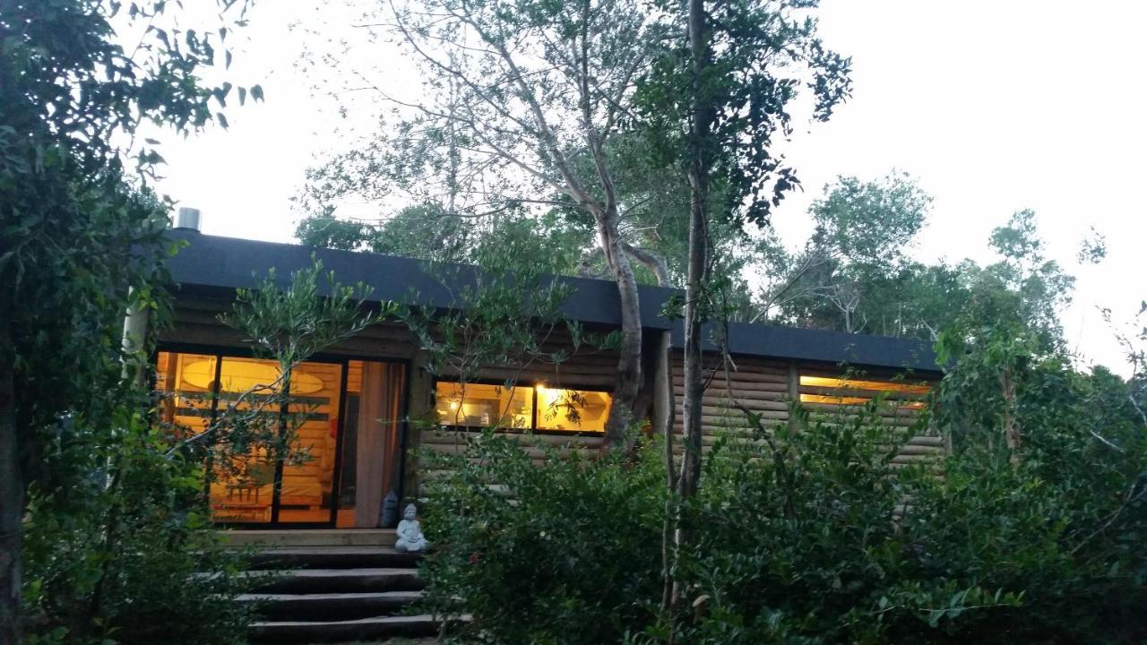Chalet Los Troncos Sauce de Portezuelo Exteriör bild